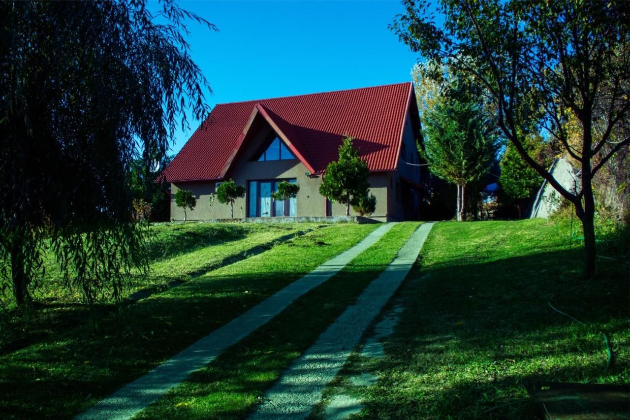 Гостевой дом Guesthouse Vila Melisa Răsvadu de Sus-4