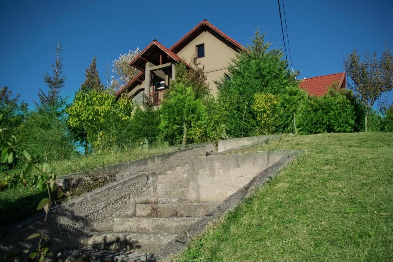 Гостевой дом Guesthouse Vila Melisa Răsvadu de Sus-43